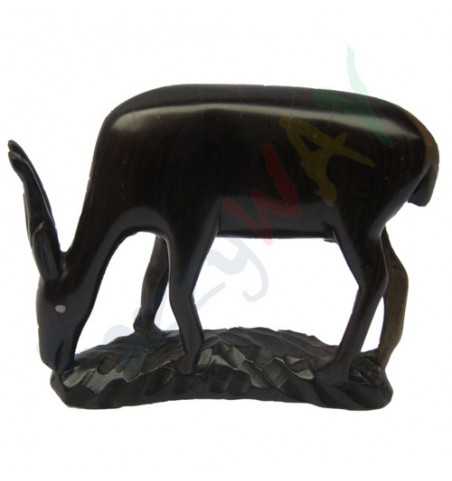 Antelope Antelope