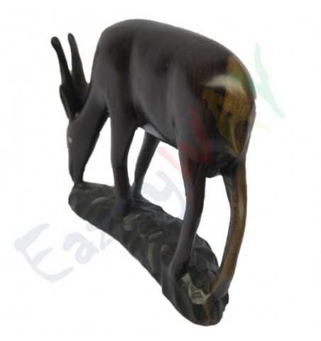 Antelope Antelope