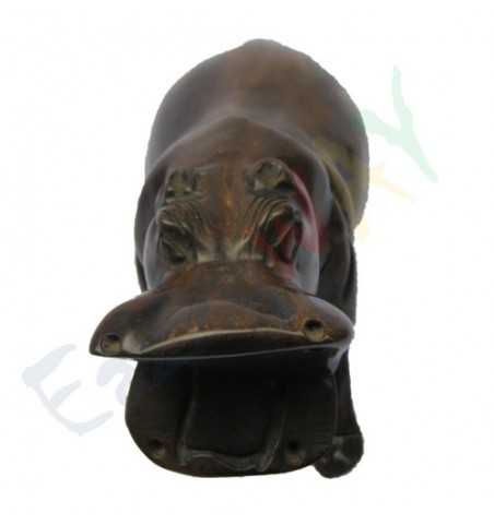 Hippopotamus
