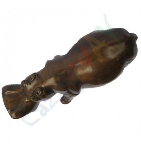 Hippopotamus