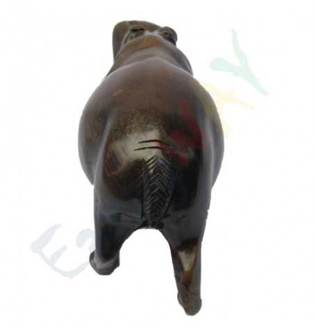 Hippopotamus