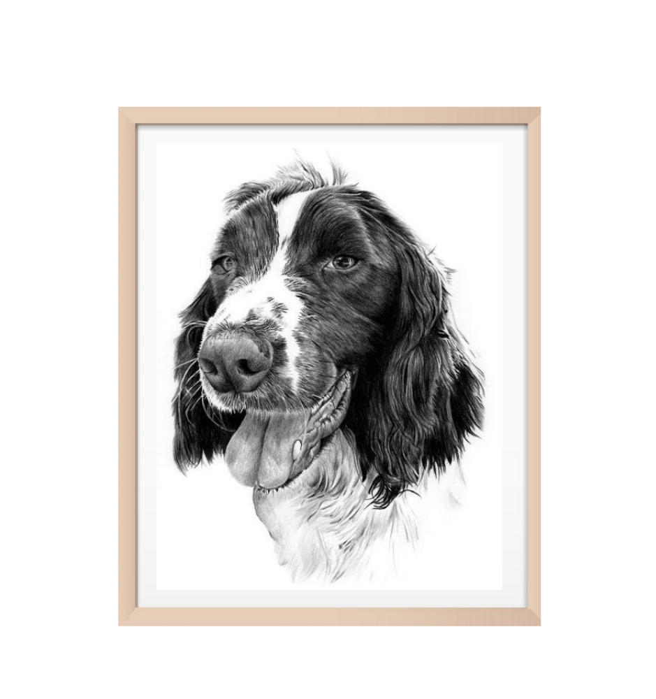 Custom Pencil Pet Sketch Custom Pencil Pet Sketch