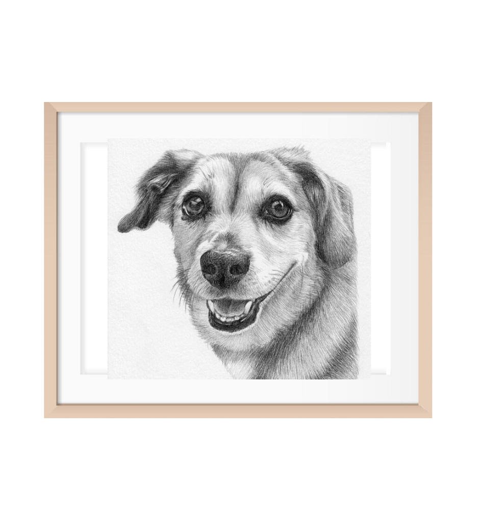 Custom Pencil Pet Sketch Custom Pencil Pet Sketch