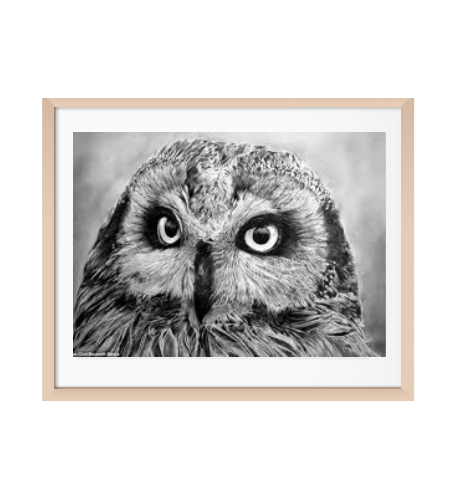 Custom Pencil Pet Sketch Custom Pencil Pet Sketch