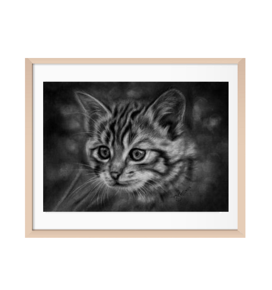 Custom Pencil Pet Sketch Custom Pencil Pet Sketch