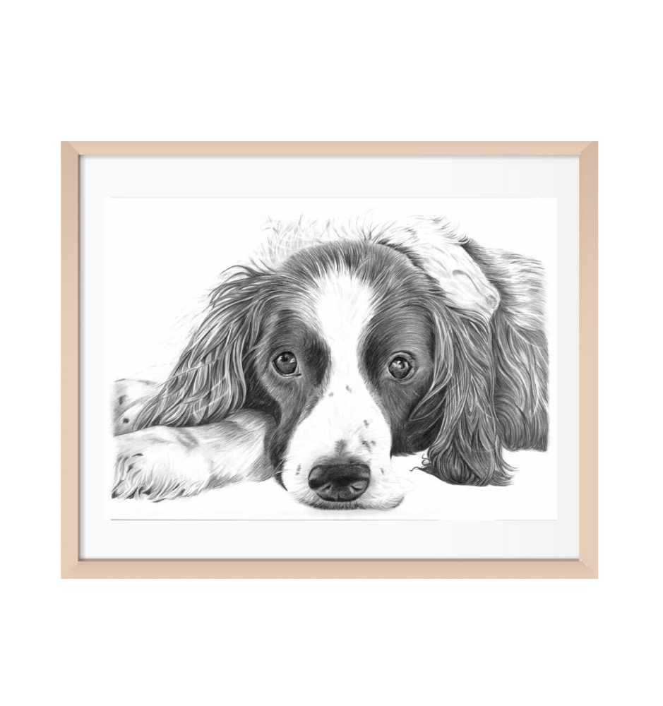 Custom Pencil Pet Sketch Custom Pencil Pet Sketch